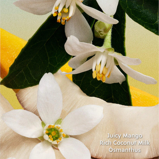Miu Miu | Fleur de Lait Eau de Parfum Travel Spray with Coconut Milk