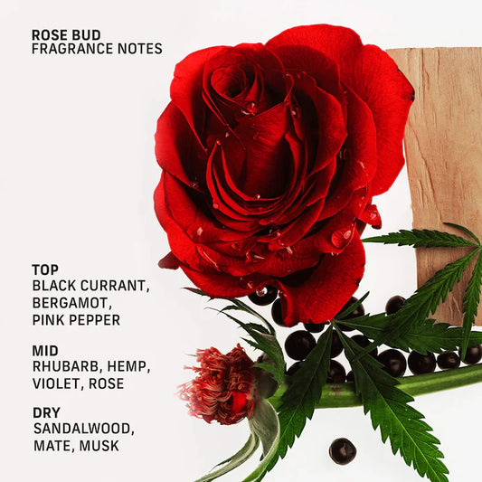 CYKLAR | Rose Bud Urea Hand Cream with Ectoin and Squalane