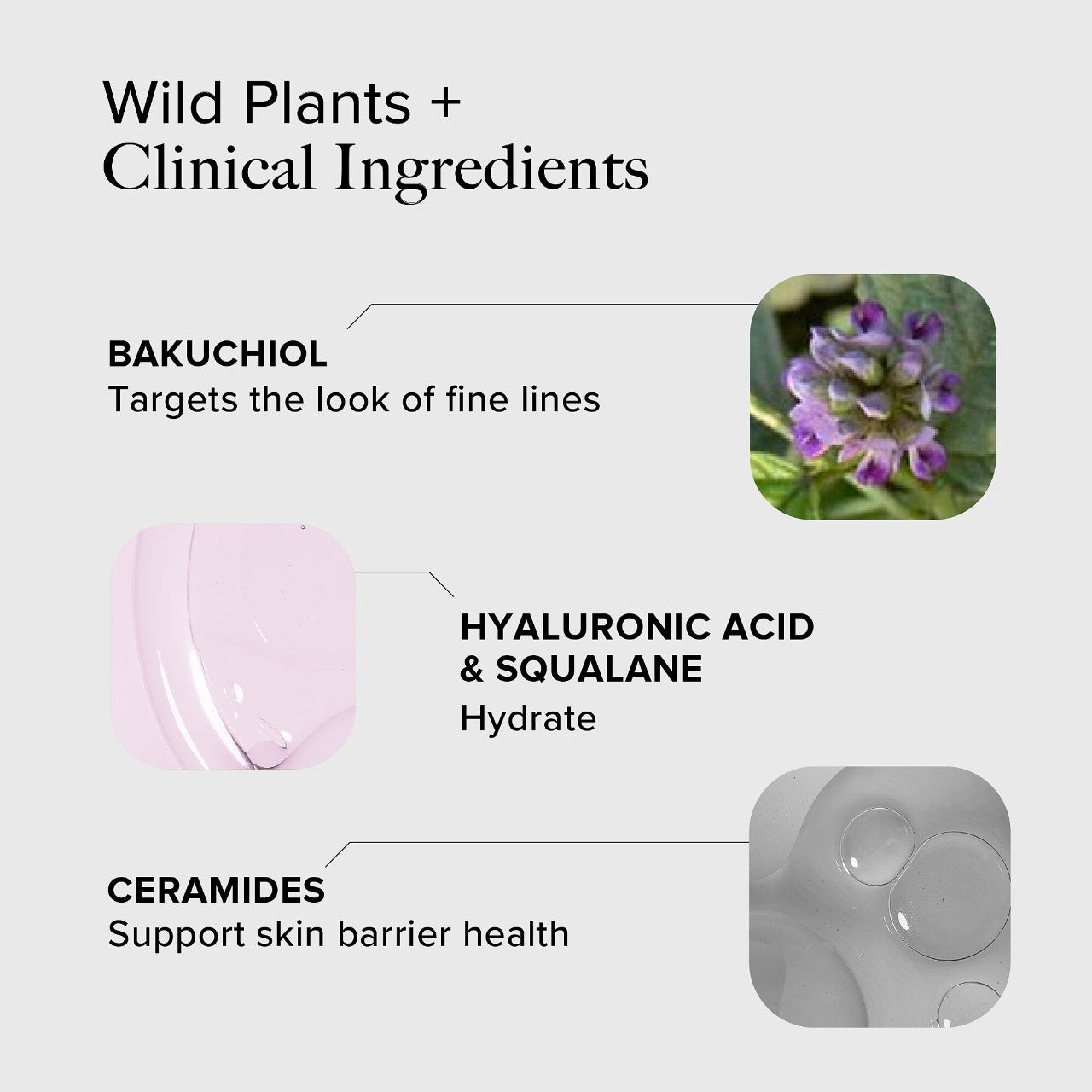 ALPYN | Melt Moisturizer with Bakuchiol & Ceramides