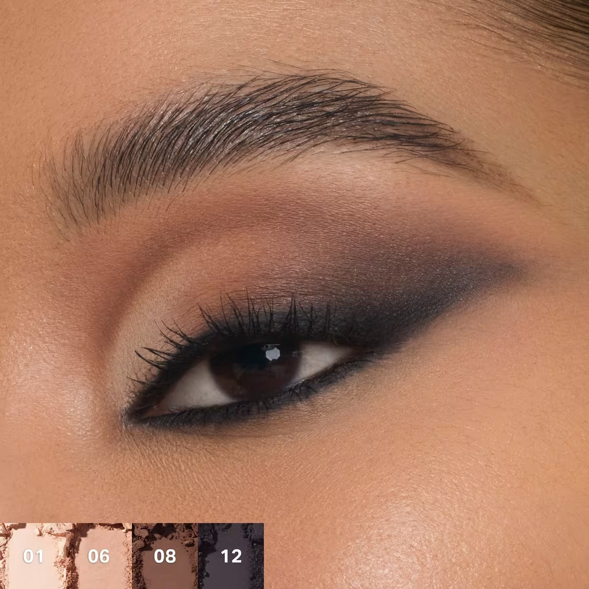 Morphe | ChromaPlus 12-Pan Eyeshadow Palette