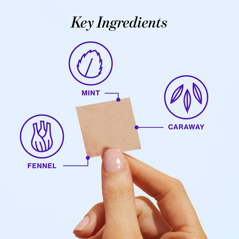 Love Wellness | Bloat Quick Melt Strips - Digestive Support - Herbal Mint - 15ct