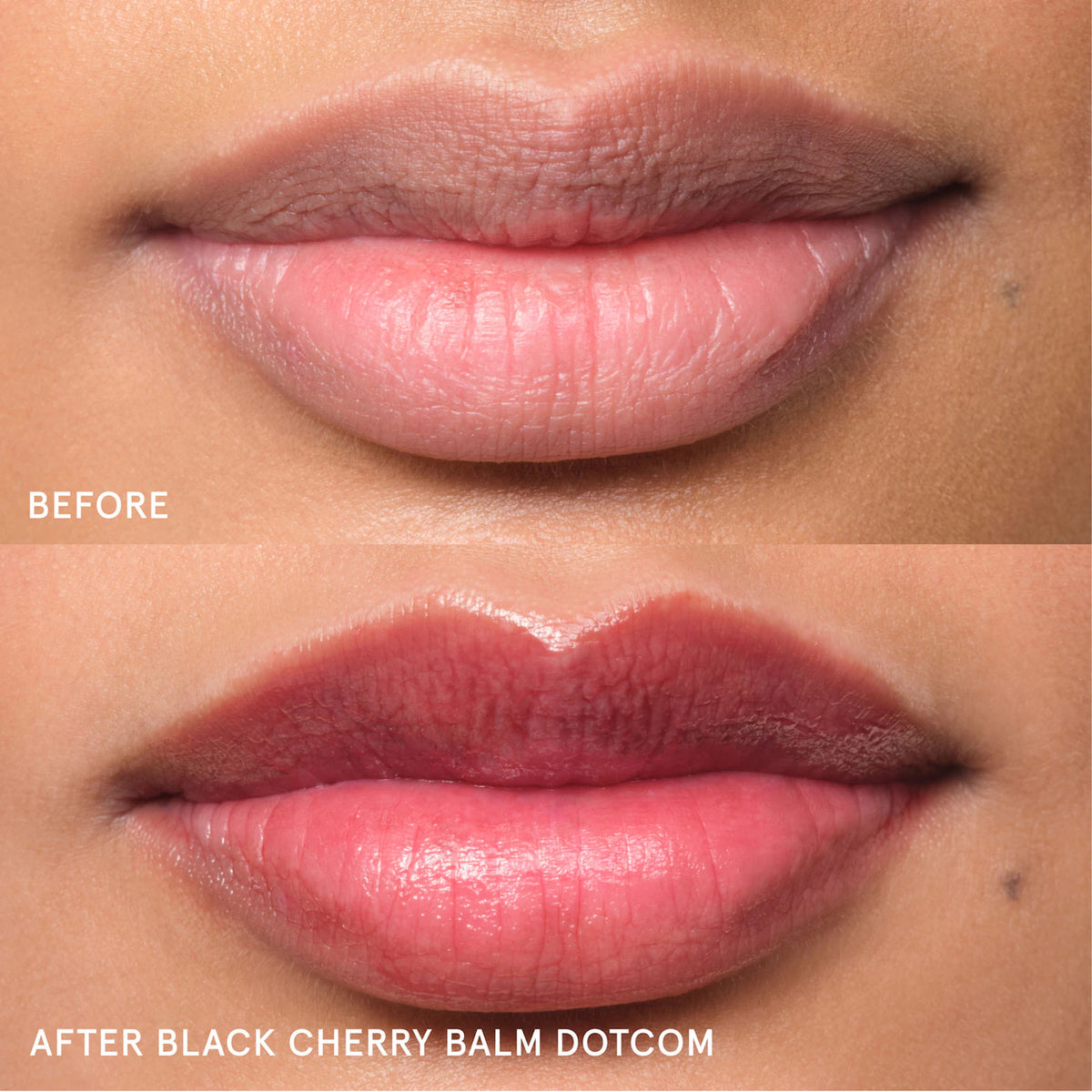 Glossier | Black Cherry Balm Dotcom & Mini Lip Line Lip Liner Pencil Makeup Gift Set