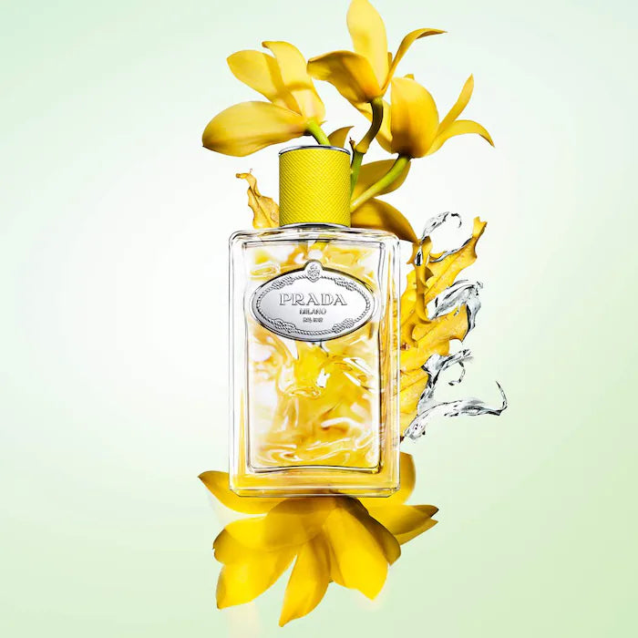 Prada | Les Infusions Discovery Set