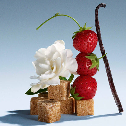 Miu Miu | Mini Miutine Eau De Parfum Perfume Duo Gift Set