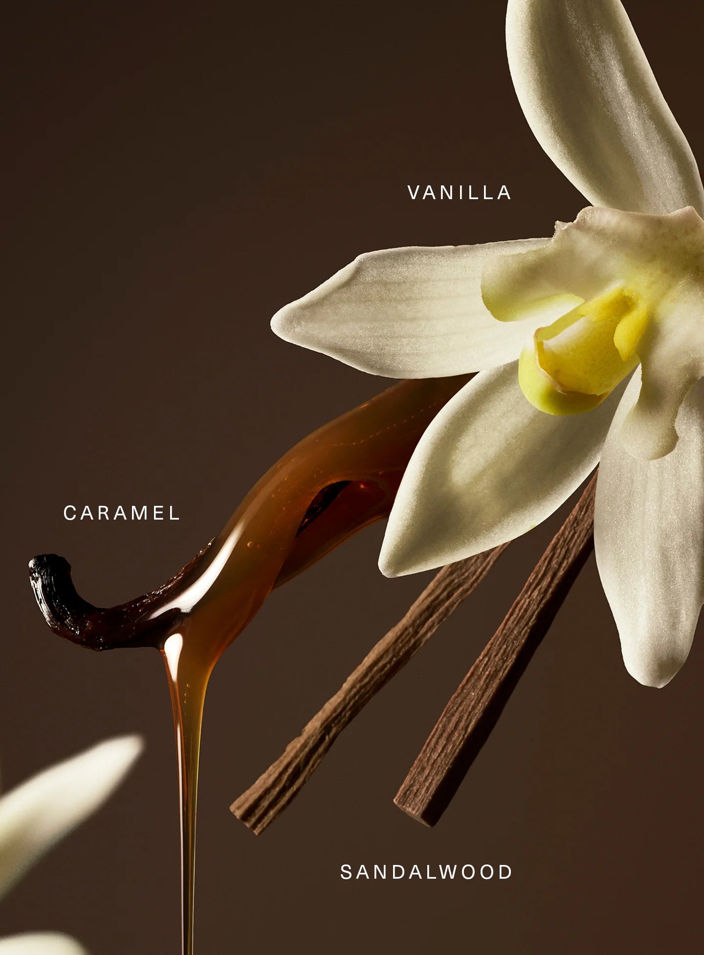 Rare Beauty | Rare Eau de Parfum