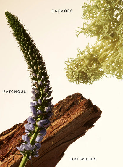 Rare Beauty | Woody Oak Rare Fragrance Layering Balm