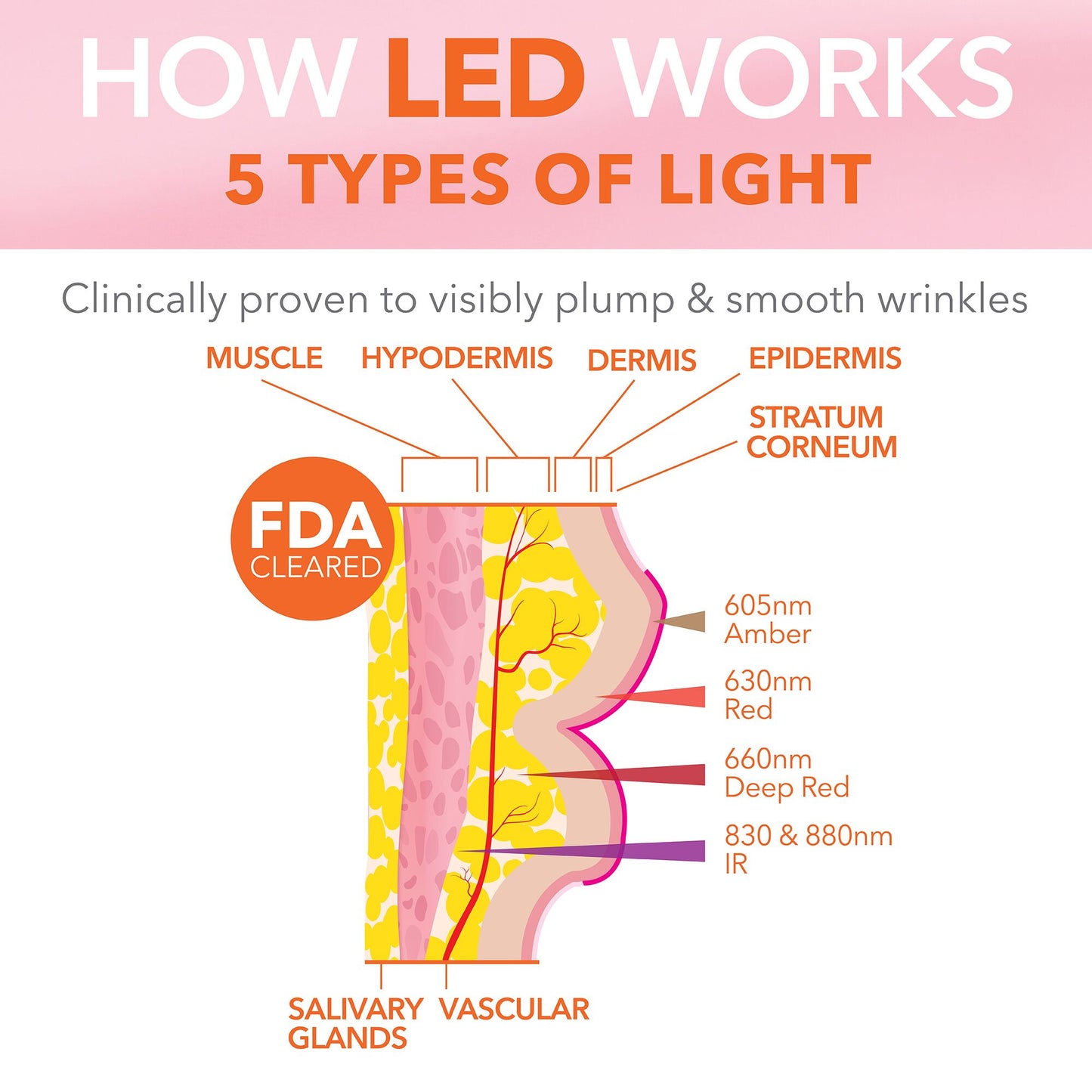 Dr. Dennis Gross Skincare | DRx SpectraLite™ LipWare Pro LED Device