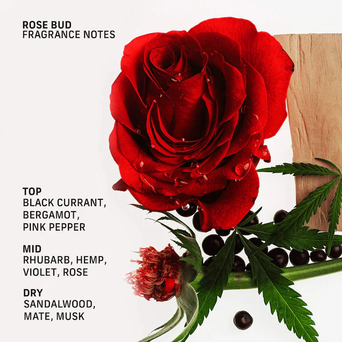 CYKLAR | Rose Bud Urea Hand Cream with Ectoin and Squalane