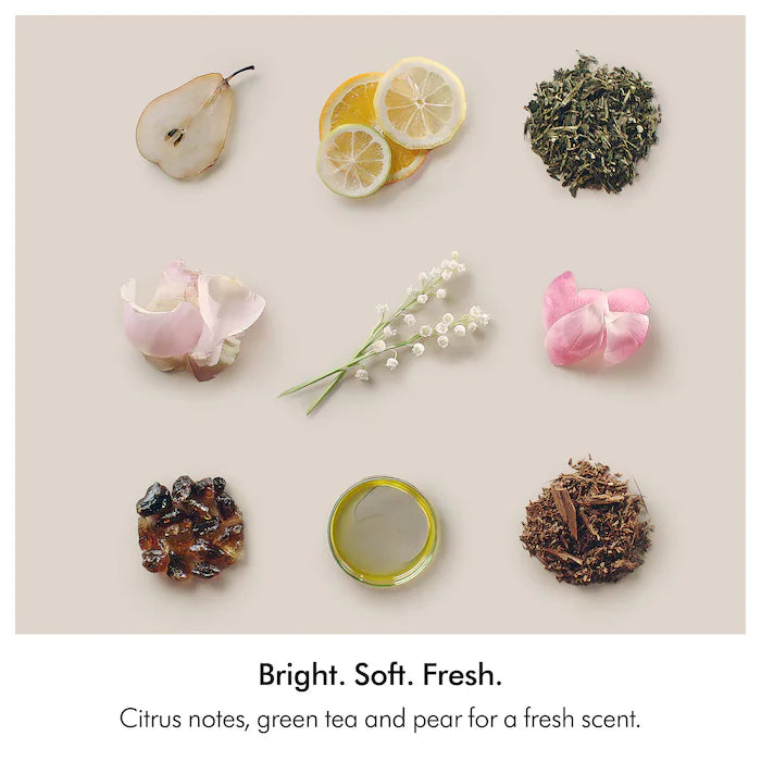Dyson | Amino Balance & Strengthen Scalp Treatment for Fuller Looking Hair