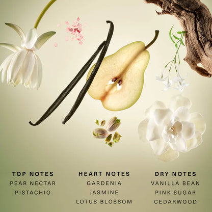 Rare Beauty | Rare Beginnings Mini Eau de Parfum Travel & Replica Set