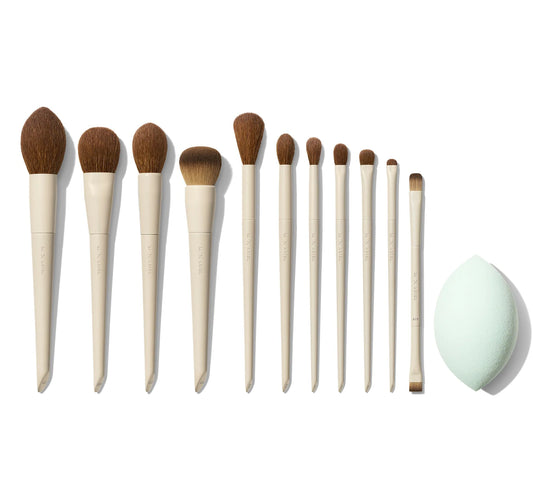 Morphe | Morphe X Ariel Signature Look 12-Piece Face & Eye Brush Set