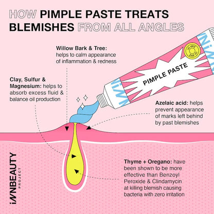 iNNBEAUTY PROJECT | Pimple Paste Overnight Blemish Drying Paste